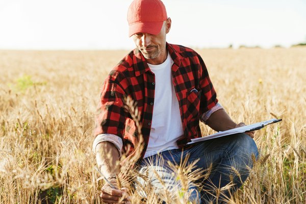 Découvrez les meilleures casquettes pour toute la famille